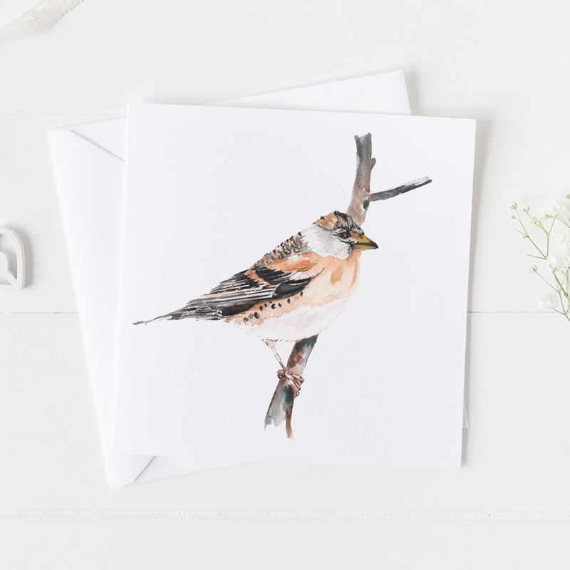 Brambling Card