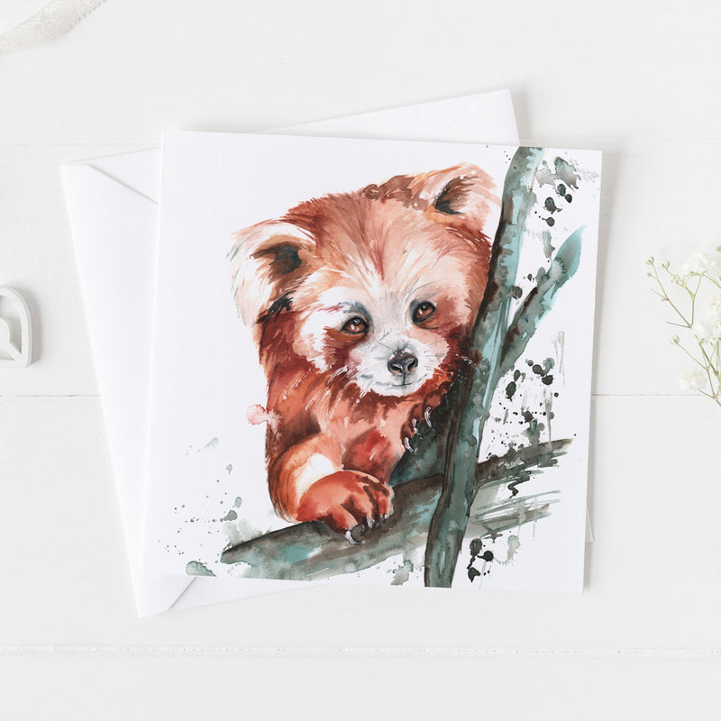 Red Panda Card