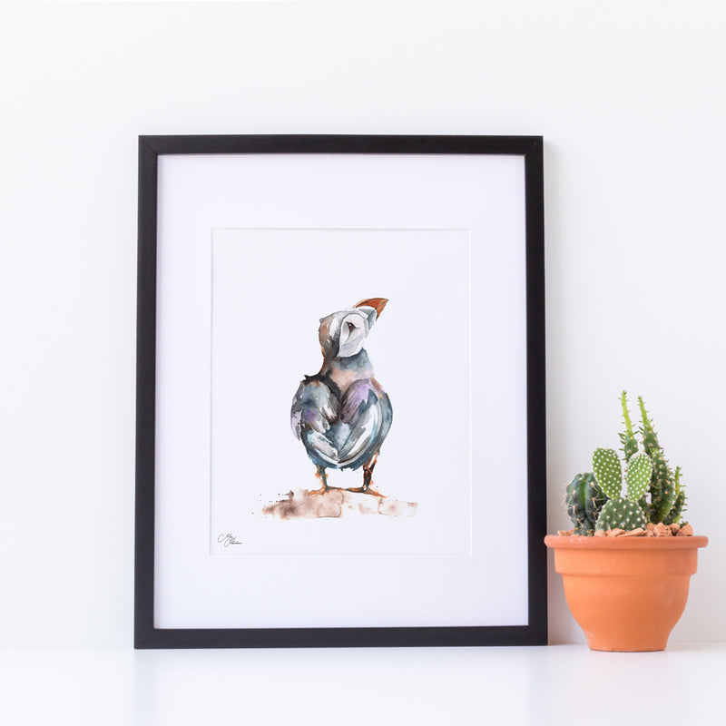 Puffin Water colour A4 Mounted print with 14 x 11" Mount (Frame not included) By Meg Hawkins